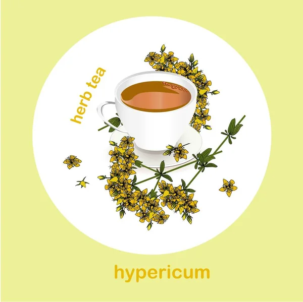 Лекарственный Травяной Чай Зверобоя Колпачок Чая Желтые Цветы Ручная Чернила — стоковый вектор