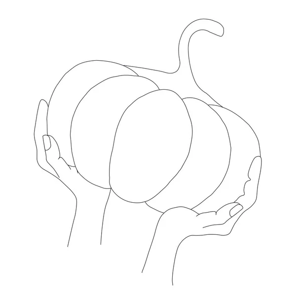 Pumpkin Hand Sketch Stock Vector Illustration Web Print Congratulation Card — Stock Vector
