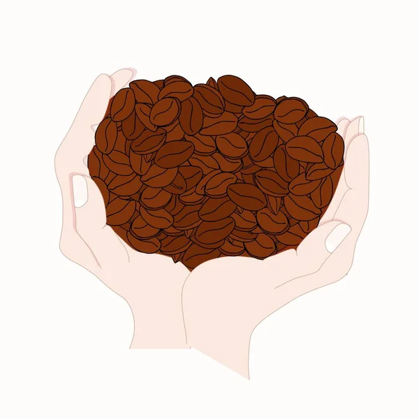 Café Grains Dans Les Mains Illustration Vectorielle Élément Conception Colorée — Image vectorielle