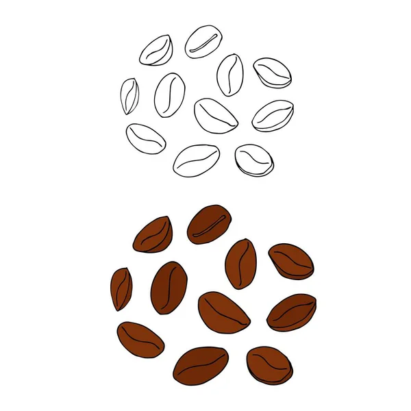 コーヒー豆のモノクロとカラフルなスケッチ ウェブ プリント パッケージデザイン プロダクトデザインのためのアートデザインストックベクトルイラスト — ストックベクタ