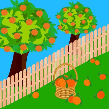 Turuncu bahçeli çit sepeti ve turuncu. Düz tasarım karikatür çiftçi illüstrasyonu ağ için, baskı için