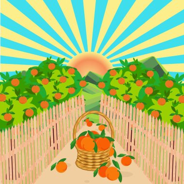 Turuncu bahçe, ahşap çit yolu güneş, meyve mavisi gökyüzü düz tasarım sanat tasarımı web için stok tasarımı illüstrasyon, baskı için