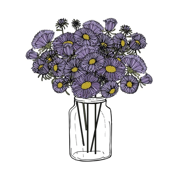 Kavanozdaki Aster Mavisi Çiçek Bitkisi Botanik Çizimi Için Yazdırmak Için — Stok Vektör