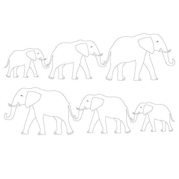 Disposition Elefant Familj Målarbok Animaliskt Objekt Isolerat För Tryck För — Stock vektor