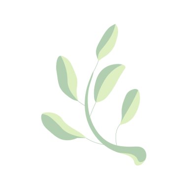 Yaprak düz tasarım nesnesi basılı ve yapışkan ağ için botanik stok vektör illüstrasyonunu izole etti