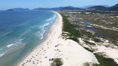 Florianopolis, Santa Catarina 'daki Joaquina Sahili' nin havadan görünüşü güneşli bir yaz gününde turkuaz mavisi deniz ile kumsalda ve denizde bir sürü insanla doludur..