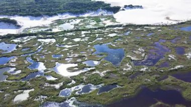 Florianpolis, Santa Catarina 'daki bir koruma birimi olan Lagoa da Conceio ve Joaquina Sahili' nin belediye doğal parkının havadan görünüşü. Kum tarlaları, dinlenme bitkileri, ekolojik ve turistik göller