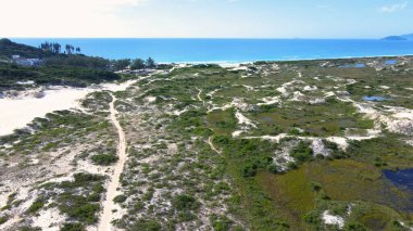 Florianopolis, Santa Catarina, Brezilya 'daki Joaquina Sahili' nin hava manzarası. Lagoa da Conceio Doğal Parkı, bir dinlenme ve kalıcı koruma alanı..