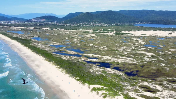 Florianopolis, Santa Catarina, Brezilya 'daki Joaquina Sahili' nin hava manzarası. Lagoa da Conceio Doğal Parkı, bir dinlenme ve kalıcı koruma alanı..