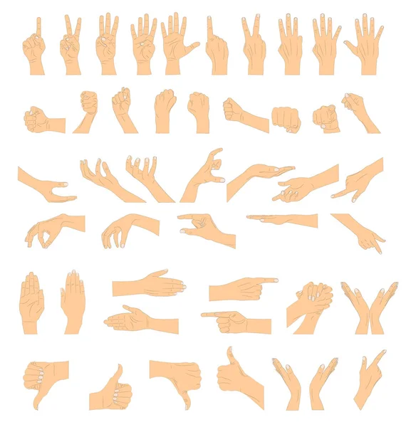 Hand Gestures Vector Illustration — Stock Vector