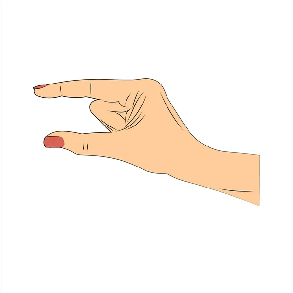 Hand Gestures Vector Illustration — Stock Vector