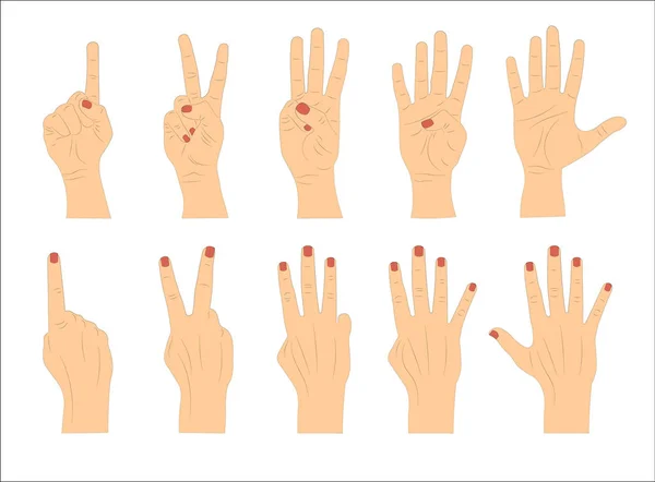 El hareketleriyle. Vektör illüstrasyonu.