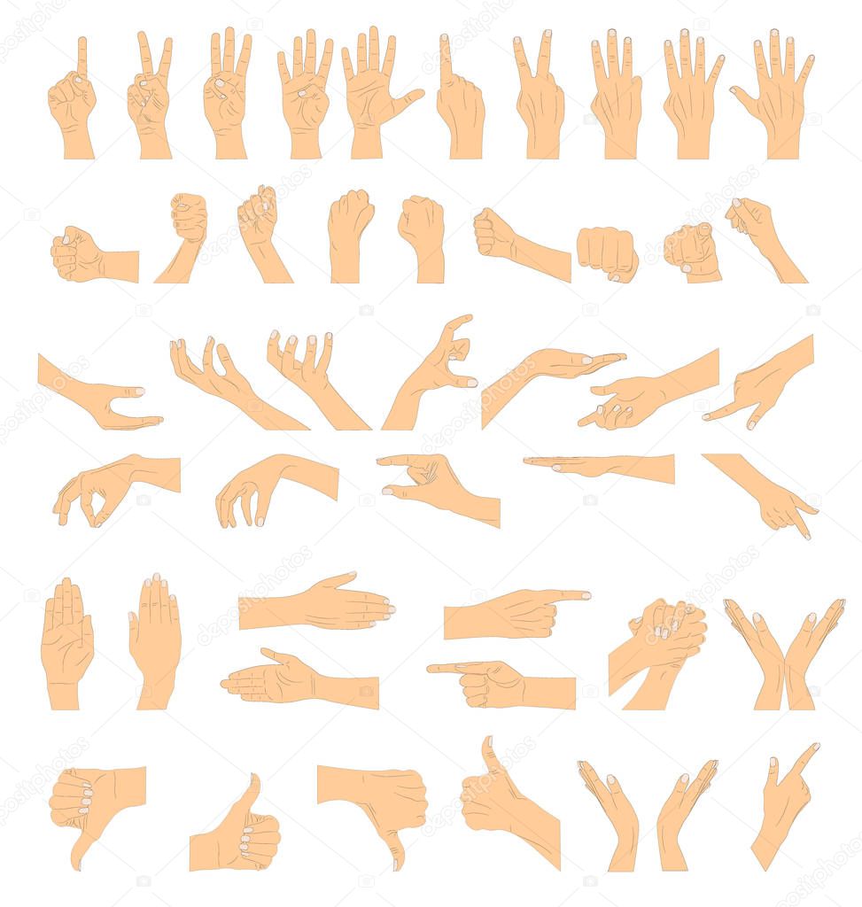 Hand gestures. Vector illustration.