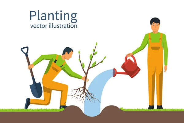 种植树。用铲子和浇水的园丁可以在汉里举行 — 图库矢量图片