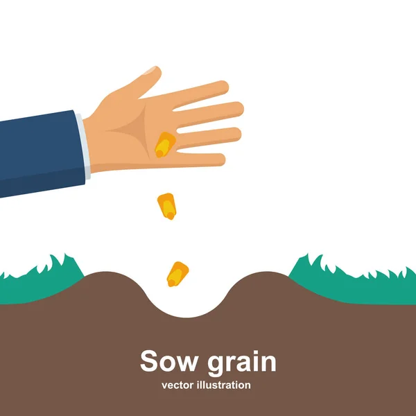 Sows grain. Man holds grain for sowing. — Stock Vector