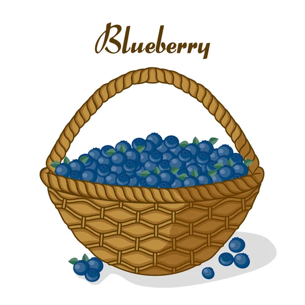 Korb Mit Blaubeeren Reifen Saftigen Süßen Beeren Frische Süße Beeren — Stockvektor