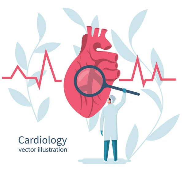 心脏科概念 心脏病医生手里拿着放大镜 看着大大的人的心脏 红心跳动与生命线 符号医疗保健 医疗背景 矢量插画平面设计 — 图库矢量图片