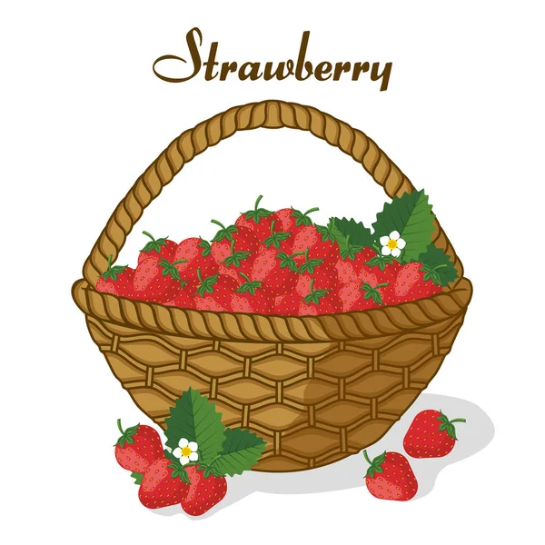 Basket Strawberries Ripe Juicy Sweet Berries Template Menu Banner Healthy — Stock Vector