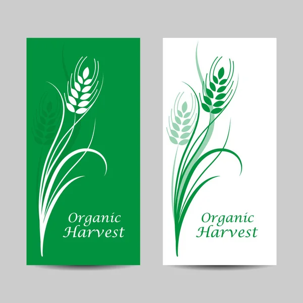Набор вертикальных баннеров. Колючка пшеницы на белом и зеленом фоне — стоковый вектор