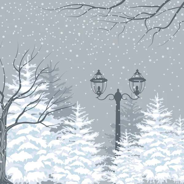 Fond d'hiver vectoriel. Chutes de neige, sapins et lanternes. Paysage extérieur du parc — Image vectorielle