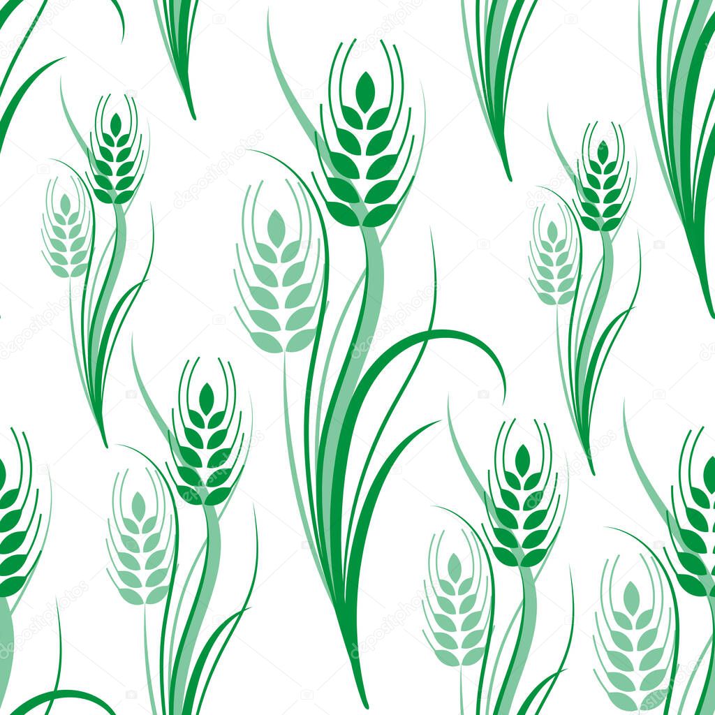 Seamless pattern with green wheat spikelets on a white isolated background. Vector illustration