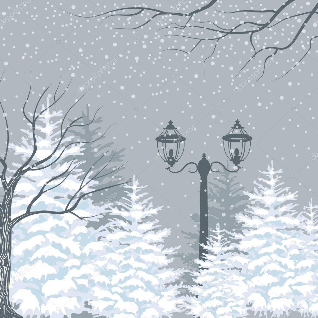 Vector winter background. Snowfall, fir trees and lanterns. Outside park landscape