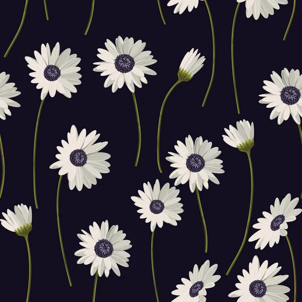 Motif sans couture avec des marguerites blanches sur fond noir. Illustration vectorielle — Image vectorielle