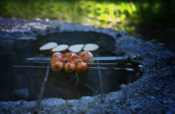 Asa de frango grelhado em pinças de cozinha, piquenique no parque — Fotografia de Stock