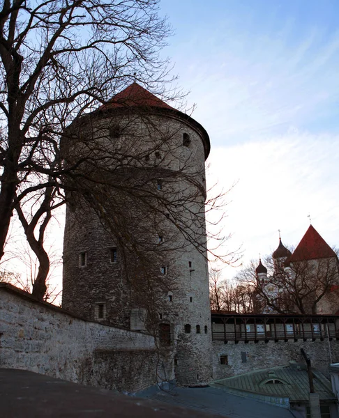 Egy drámai tüzérségi torony a Kiek-ben de Kok erődítmények Múzeum középkori óváros Tallinn, Észtország. Áll, négy középkori védelmi tornyok, átjárók a városi fal és a föld alatti bástyát — Stock Fotó