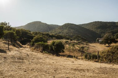 Peyzaj alanı ve dağ. İspanya. Yaz saati. 