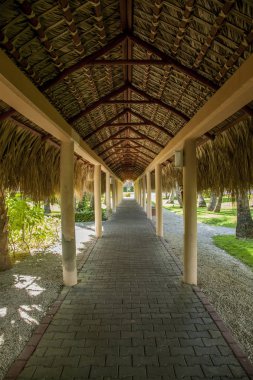 Döşeli yol hurma ile kaplı yapraklar. Tropikal Karayipler beach. 