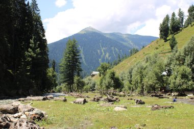 Kaşmir, Neelum Vadisi 'nde bulunan Taobat Bala' nın nefes kesici doğal ihtişamı. Bu bölgede yemyeşil ağaçlarla, yüksek dağlarla ve ışıl ışıl pınarlarla dolu çarpıcı bir vadi var..