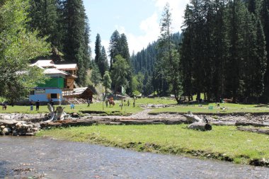Kaşmir, Neelum Vadisi 'nde bulunan Taobat Bala' nın nefes kesici doğal ihtişamı. Bu bölgede yemyeşil ağaçlarla, yüksek dağlarla ve ışıl ışıl pınarlarla dolu çarpıcı bir vadi var..