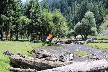 Kaşmir, Neelum Vadisi 'nde bulunan Taobat Bala' nın nefes kesici doğal ihtişamı. Bu bölgede yemyeşil ağaçlarla, yüksek dağlarla ve ışıl ışıl pınarlarla dolu çarpıcı bir vadi var..