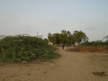 Jhimpir Sindh 'deki Keenjhar Gölü' nün çarpıcı gündüz perspektifi. Bu göl, önemi ve manzarası ile ünlüdür..