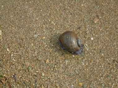 Jhimpir Sindh 'deki Keenjhar Gölü' nün çarpıcı gündüz perspektifi. Bu göl, önemi ve manzarası ile ünlüdür..