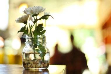 Dekorasyon olarak kavanozdaki beyaz kasımpatı çiçekleri, bulanık bir arka planı var.