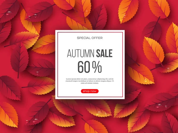 Bannière de vente d'automne avec feuilles 3D et gouttes d'eau. Fond rose - modèle de rabais saisonniers, illustration vectorielle . — Image vectorielle