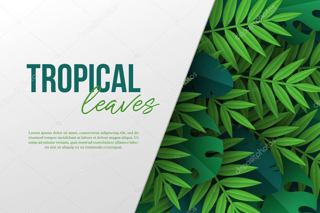 Banner with exotic jungle tropical palm leaves.