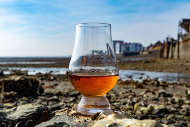 Bir bardak viski ve deniz kenarı tatmak alçak gelgit sırasında, dumanlı viski ve istiridye eşleşmesi.