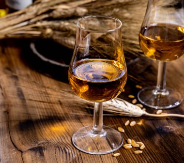 Tasting glasses with aged Scotch whisky or american bourbon on old dark wooden vintage table with barley grains clipart