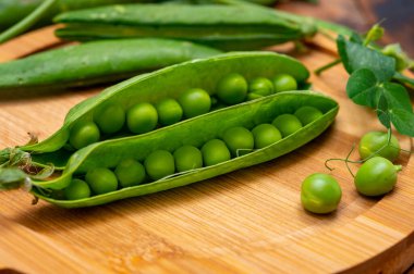 Taze taze taze bezelye tohumu hasadı.