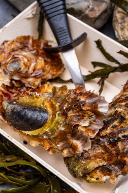 Hollanda, Yerseke 'deki balık pazarında taze zeeuwse creuse pasifik veya Japon istiridyeleri yumuşakçaları