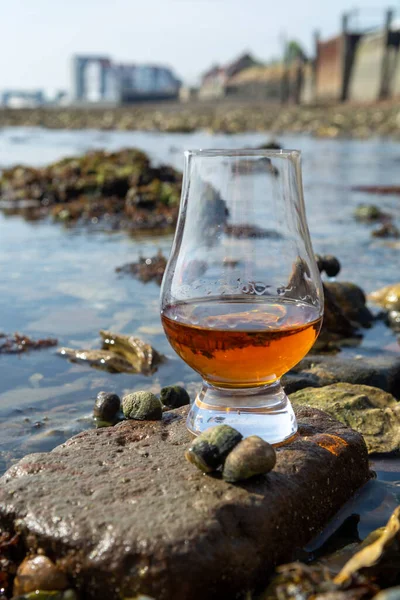 Bir bardak viski ve deniz kenarı tatmak alçak gelgit sırasında, dumanlı viski ve istiridye eşleşmesi.