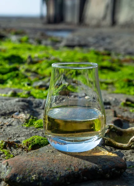 Ochutnávka Sklenice Skotské Whisky Mořského Pobřeží Pozadí Během Odlivu Kouřová — Stock fotografie