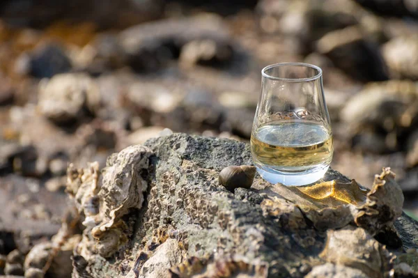 Proeverij Glas Scotch Whisky Zee Achtergrond Bij Rokerige Whisky Koppeling — Stockfoto