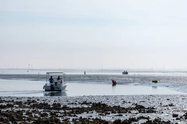 Costa Zeeuwse Pueblo Yerseke Con Ostras Famosas Pozos Mejillones Durante — Foto de Stock