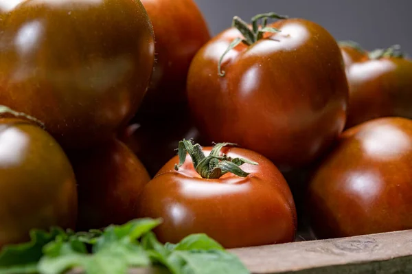 Fresh Ripe Sweet Reddish Brown Green Kumato Tomatoes Close — Stock Photo, Image