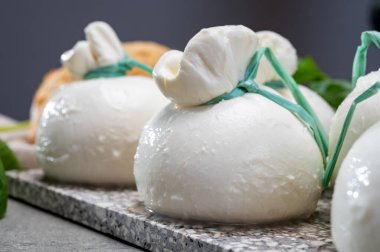 Peynir koleksiyonu, Puglia 'dan taze el yapımı İtalyan peyniri, beyaz burrata topları veya mozarella ve kremadan yapılmış burratina peyniri.