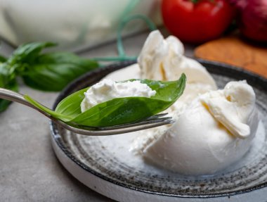Puglia 'dan taze el yapımı İtalyan peyniri yemek, beyaz burrata topları veya mozzarella ve kremadan yapılmış burratina peyniri yemek.